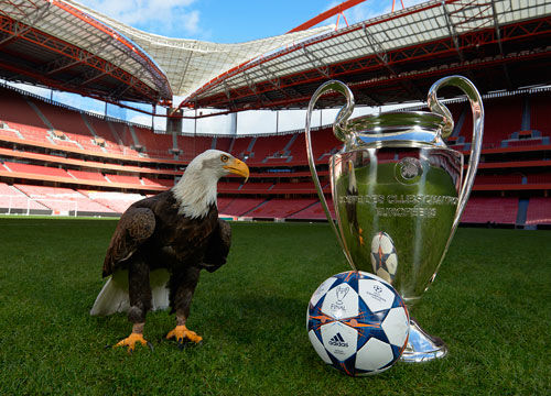 《神之天平》力量晶体勋章怎么获得